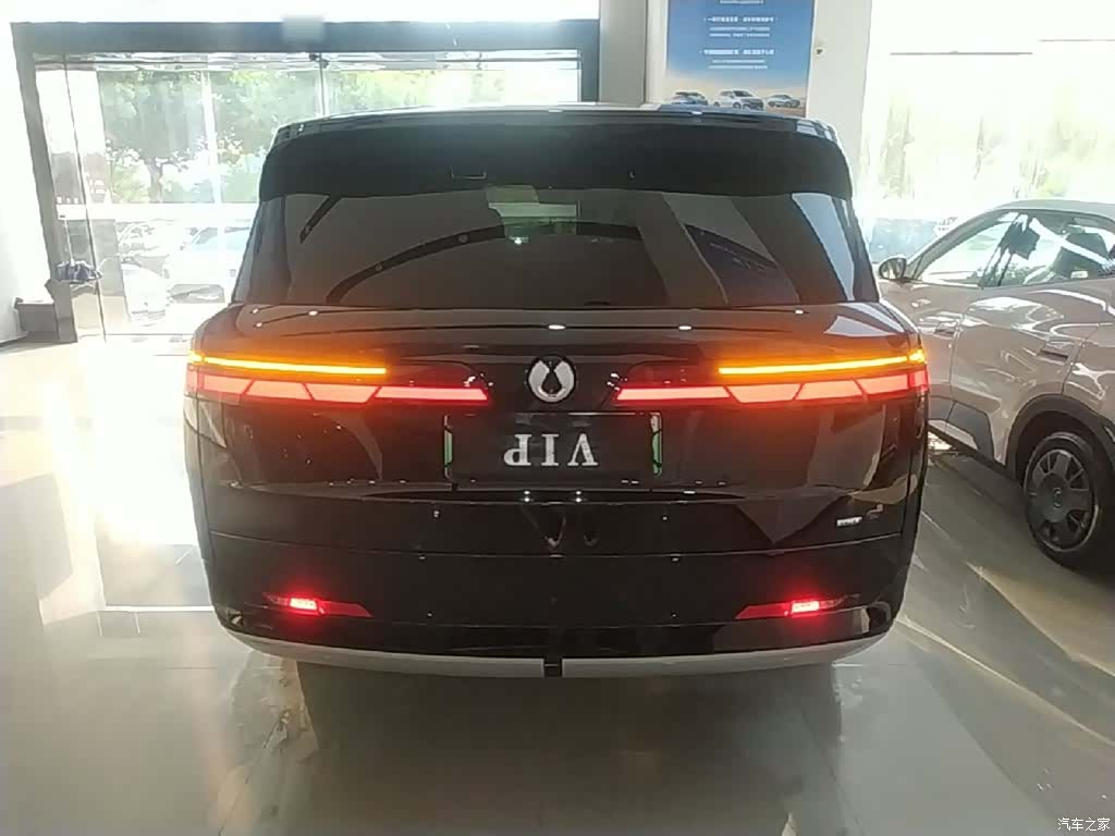 Denza N9, 2025 6