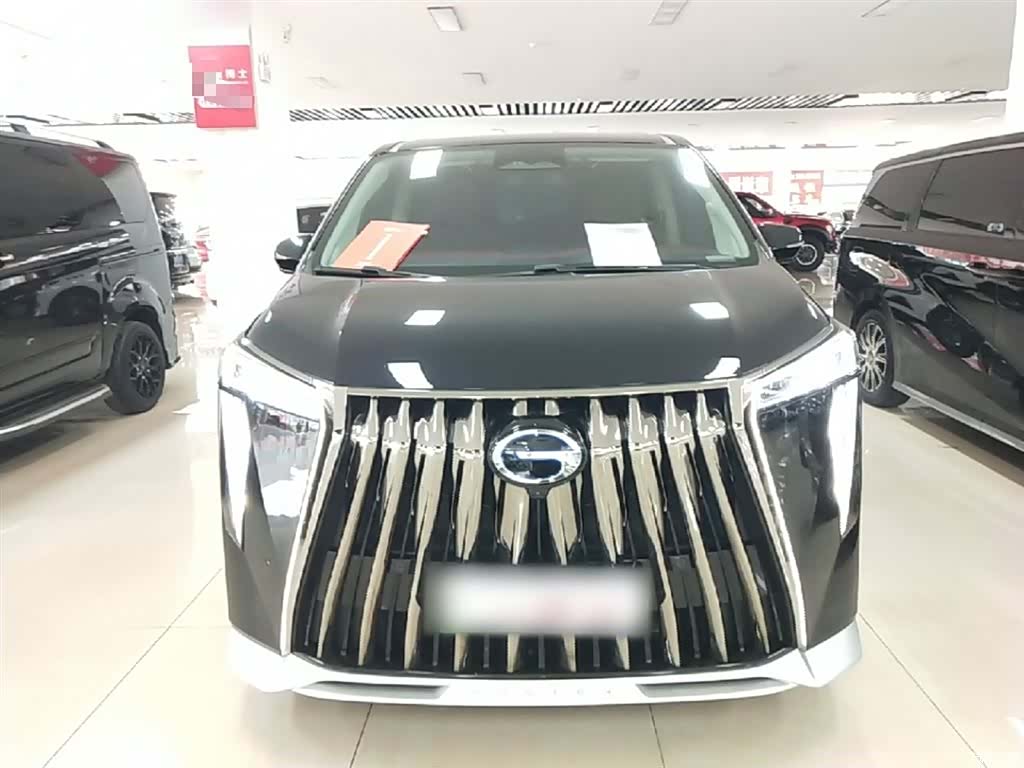 Trumpchi E9, 2024 3