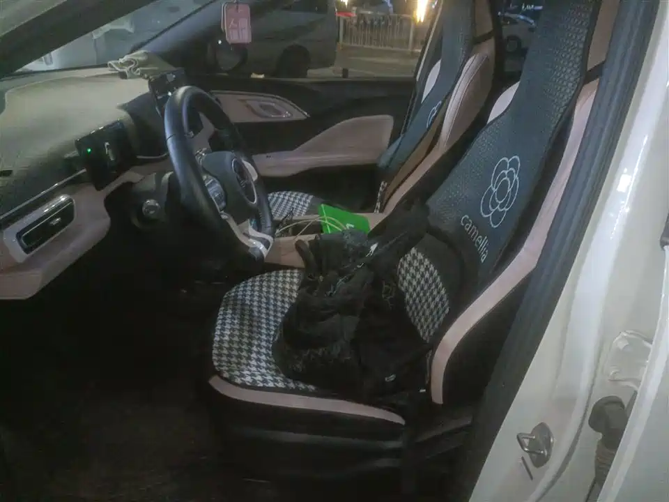 BYD Seagull