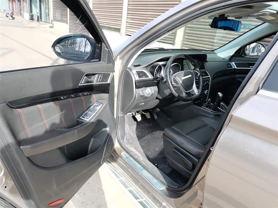 Leopaard Cheetah CS10