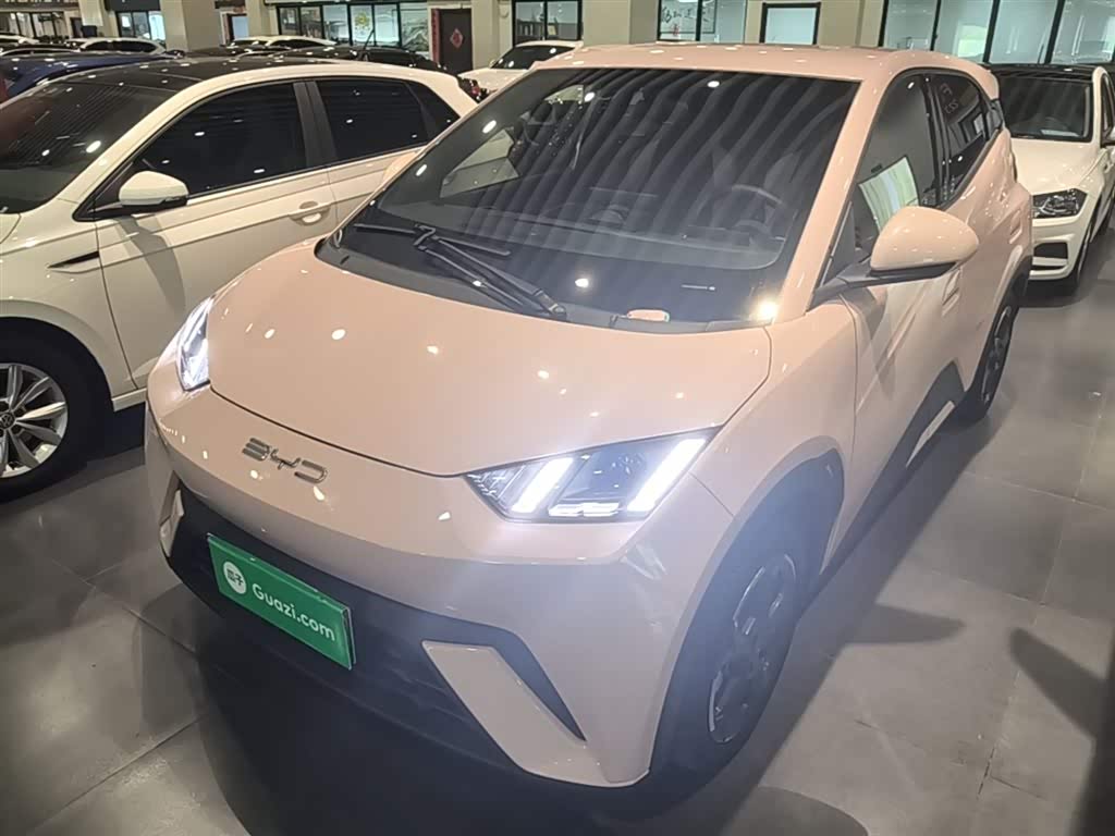 BYD Seagull