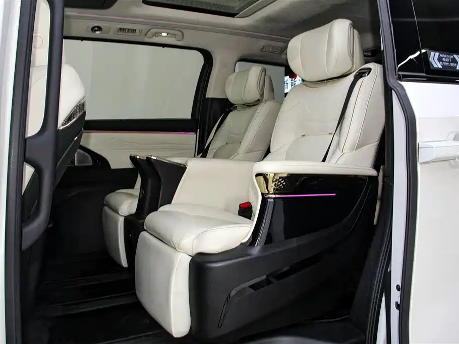 Trumpchi Trumpchi E9