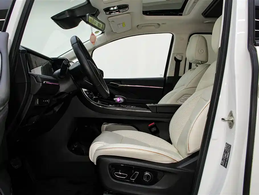 Trumpchi Trumpchi E9