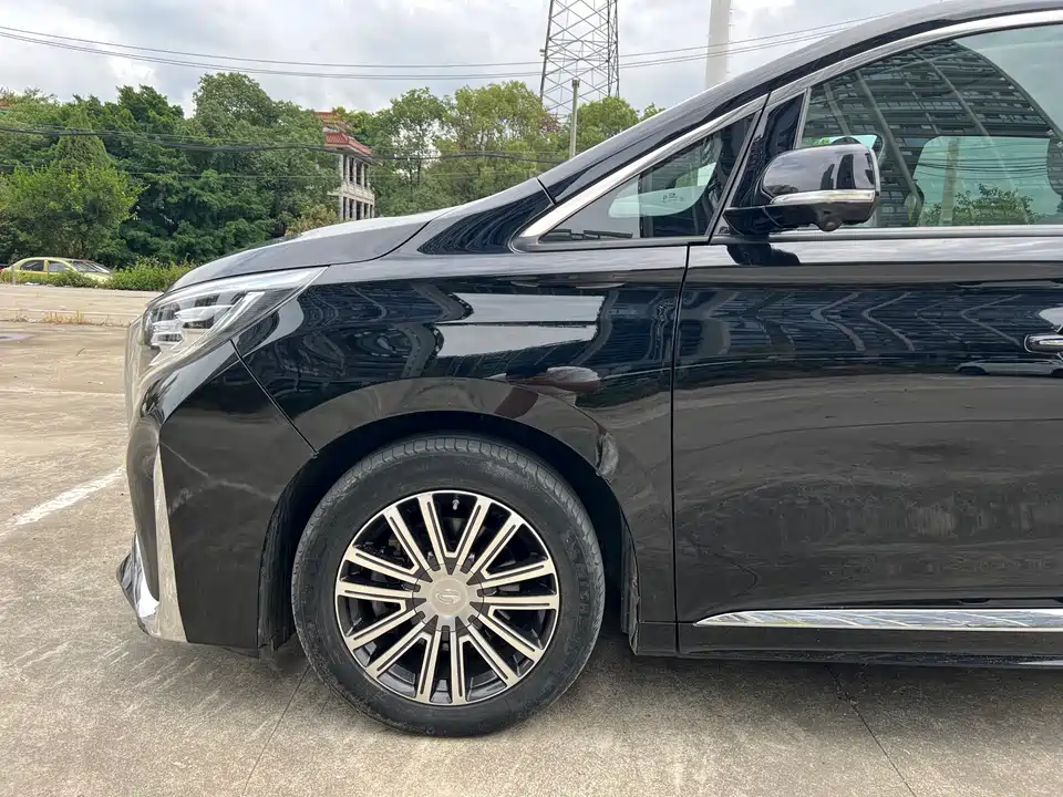 Trumpchi Trumpchi M8