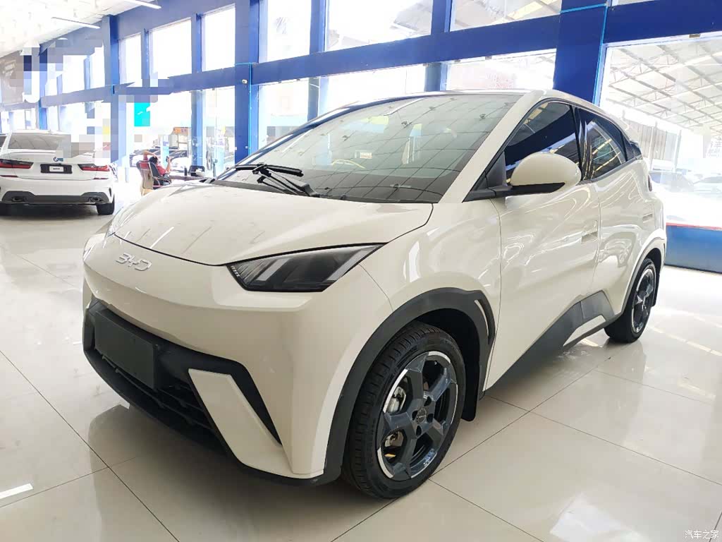 BYD Seagull, 2024 2