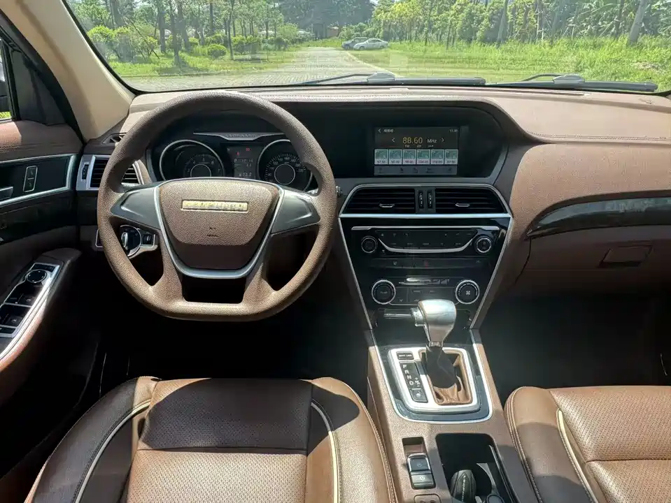 Leopaard Cheetah CS10