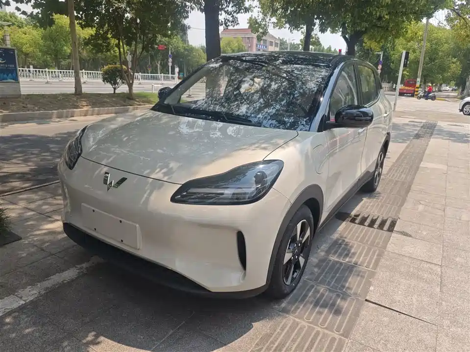 Wuling Wuling Bingguo PLUS