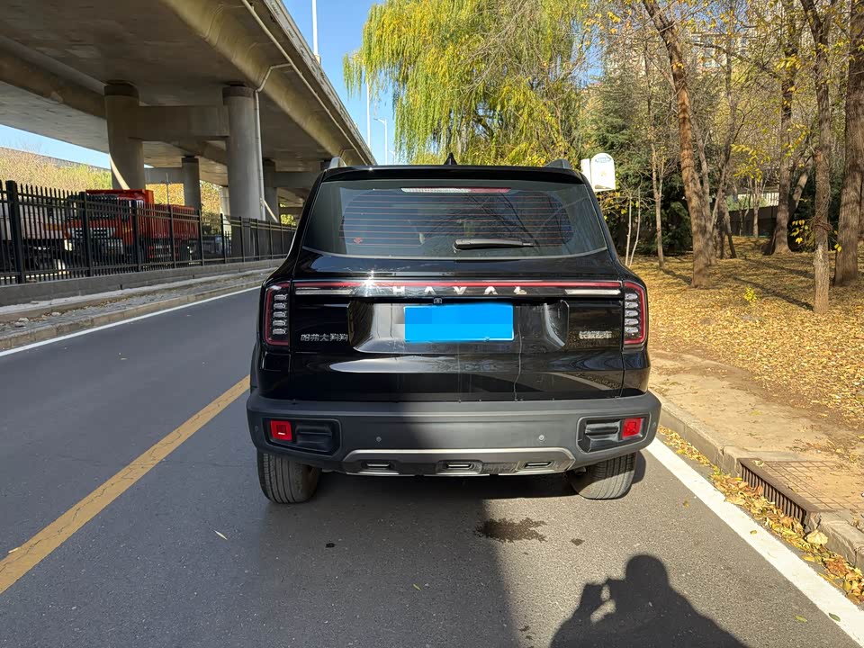 Haval Big dog