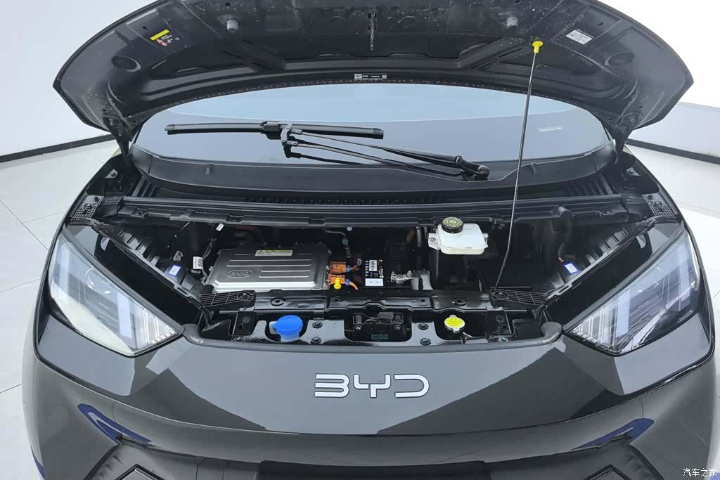 BYD Seagull, 2024 10