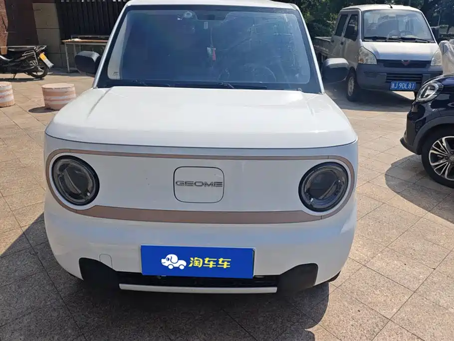 Geely Galaxy panda