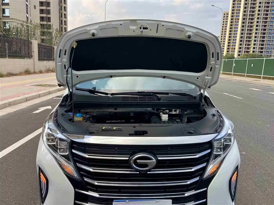 Trumpchi Trumpchi M8