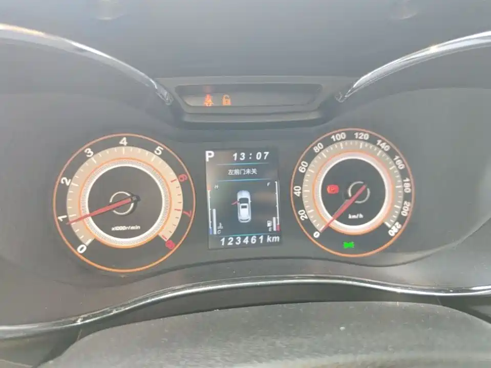 Leopaard Cheetah CS9