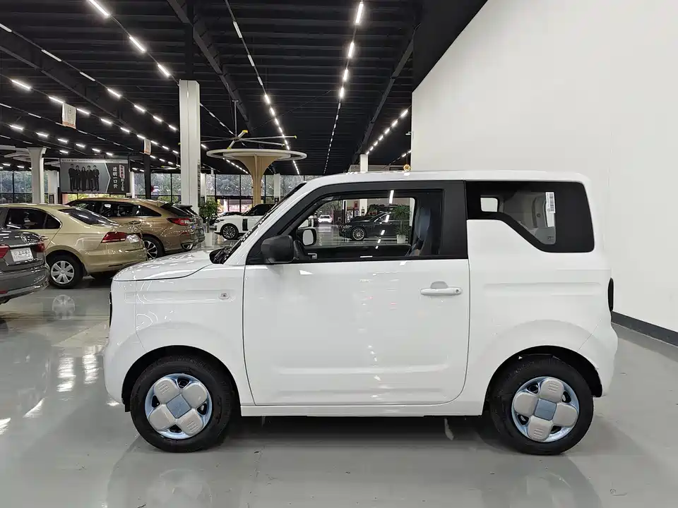 Geely Galaxy panda