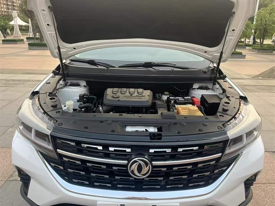 Forthing Popular T5L