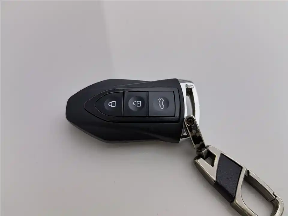 Leopaard Cheetah CS10