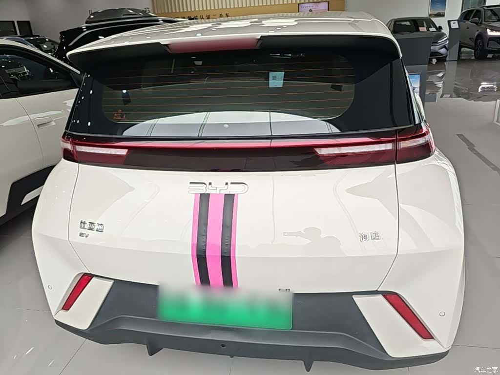 BYD Seagull, 2024 6