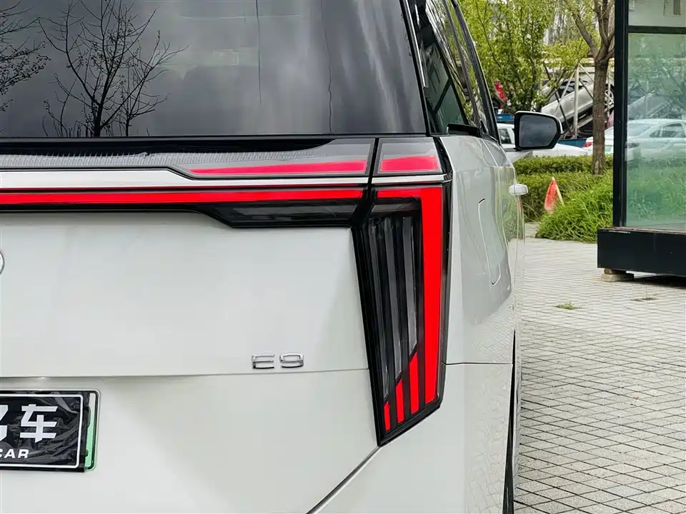 Trumpchi Trumpchi E9