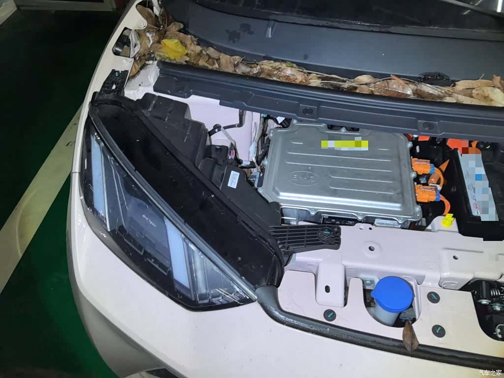 BYD Seagull, 2024 22