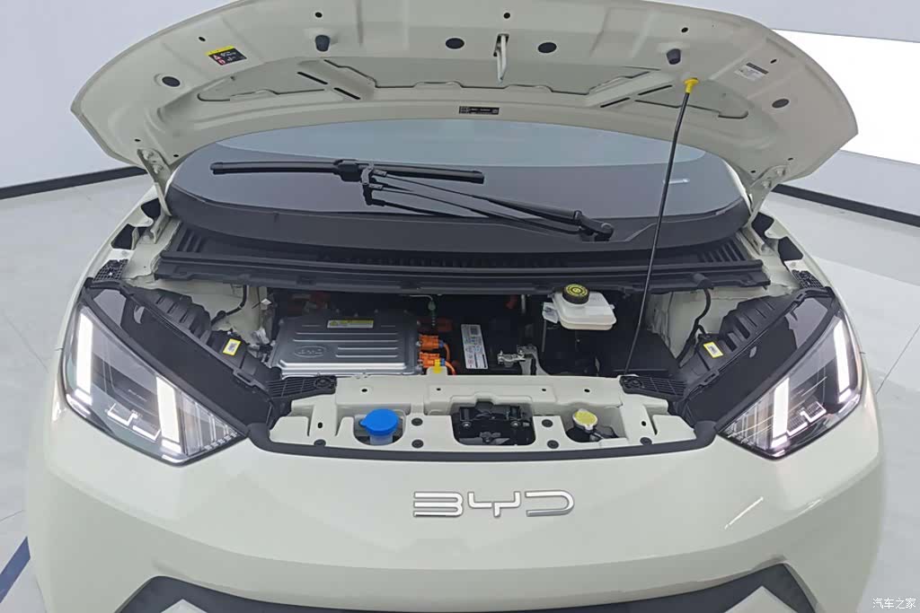 BYD Seagull, 2023 10