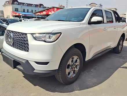 ݶֳ  2021 2.0TðԶӢͳGW4D20M