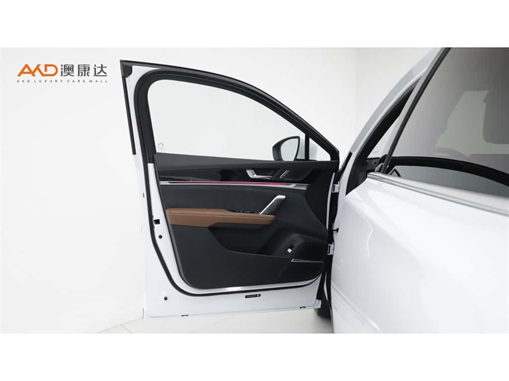 BYD Tang, 2022 11