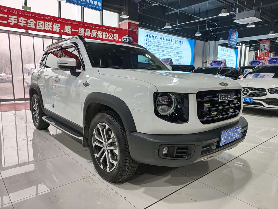 Haval Big dog