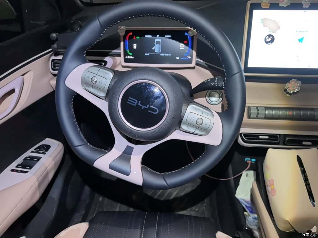 BYD Seagull, 2024 6