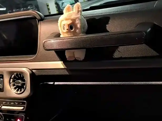 Mercedes-Benz G-class AMG