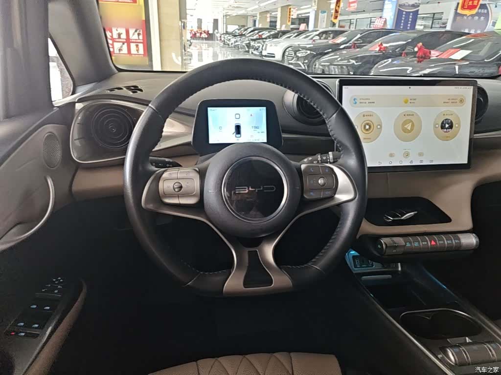 BYD Dolphin, 2023 11