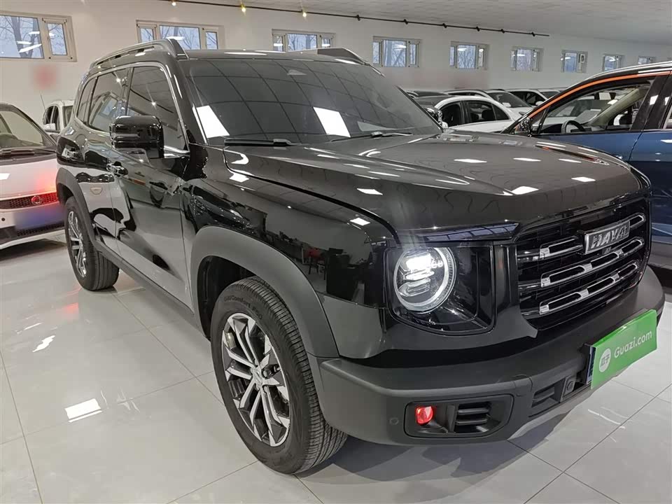 Haval Big dog