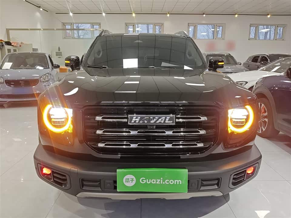 Haval Big dog