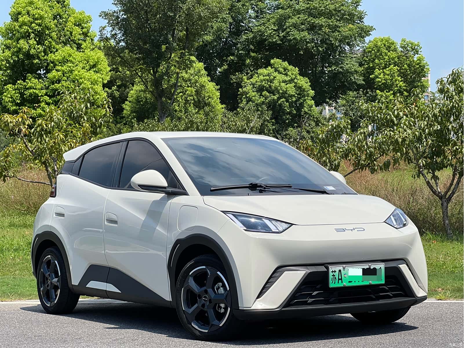 BYD Seagull, 2023 3