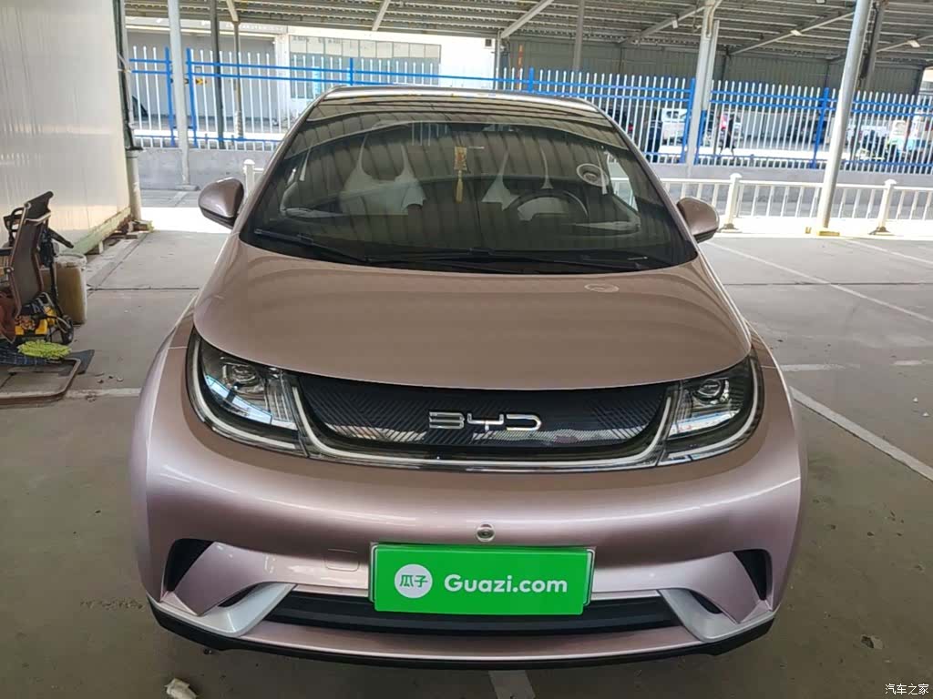 BYD Dolphin, 2022 3