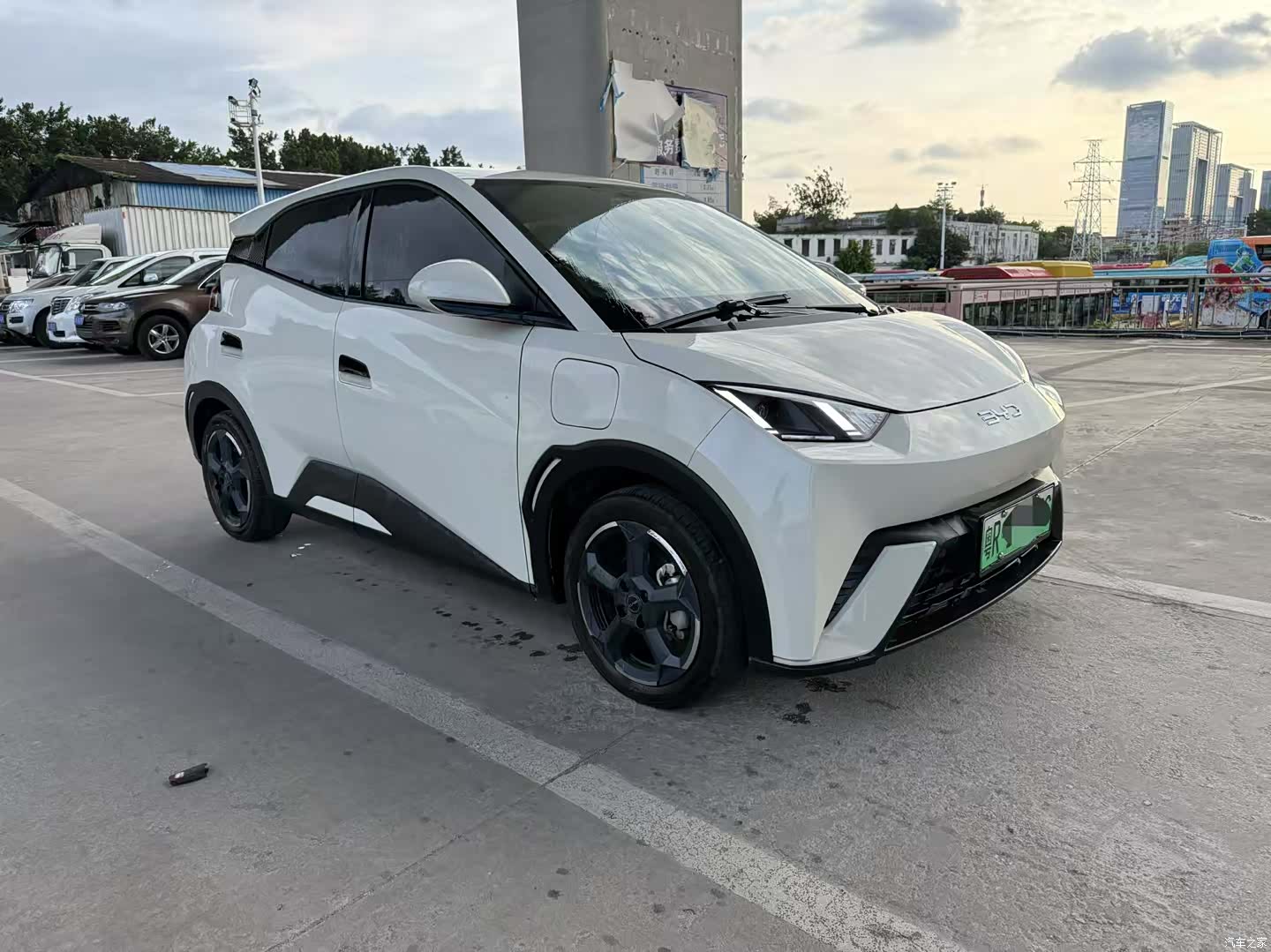 BYD Seagull, 2024 3