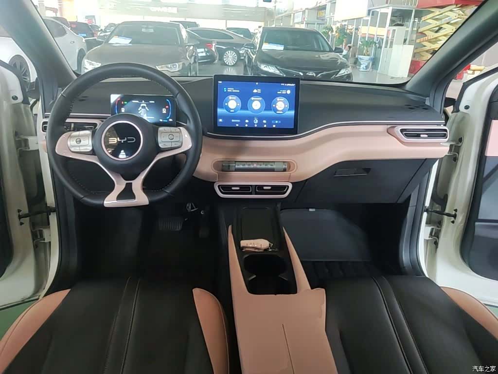 BYD Seagull, 2024 10