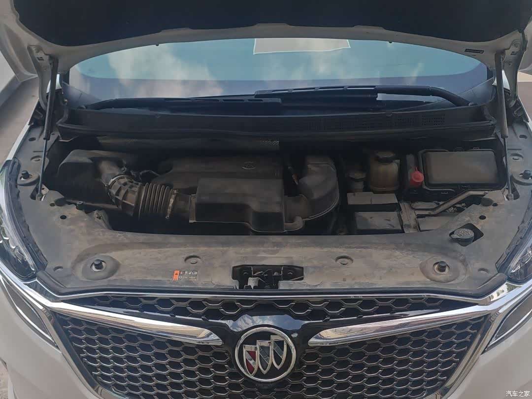 Buick GL8, 2020 13
