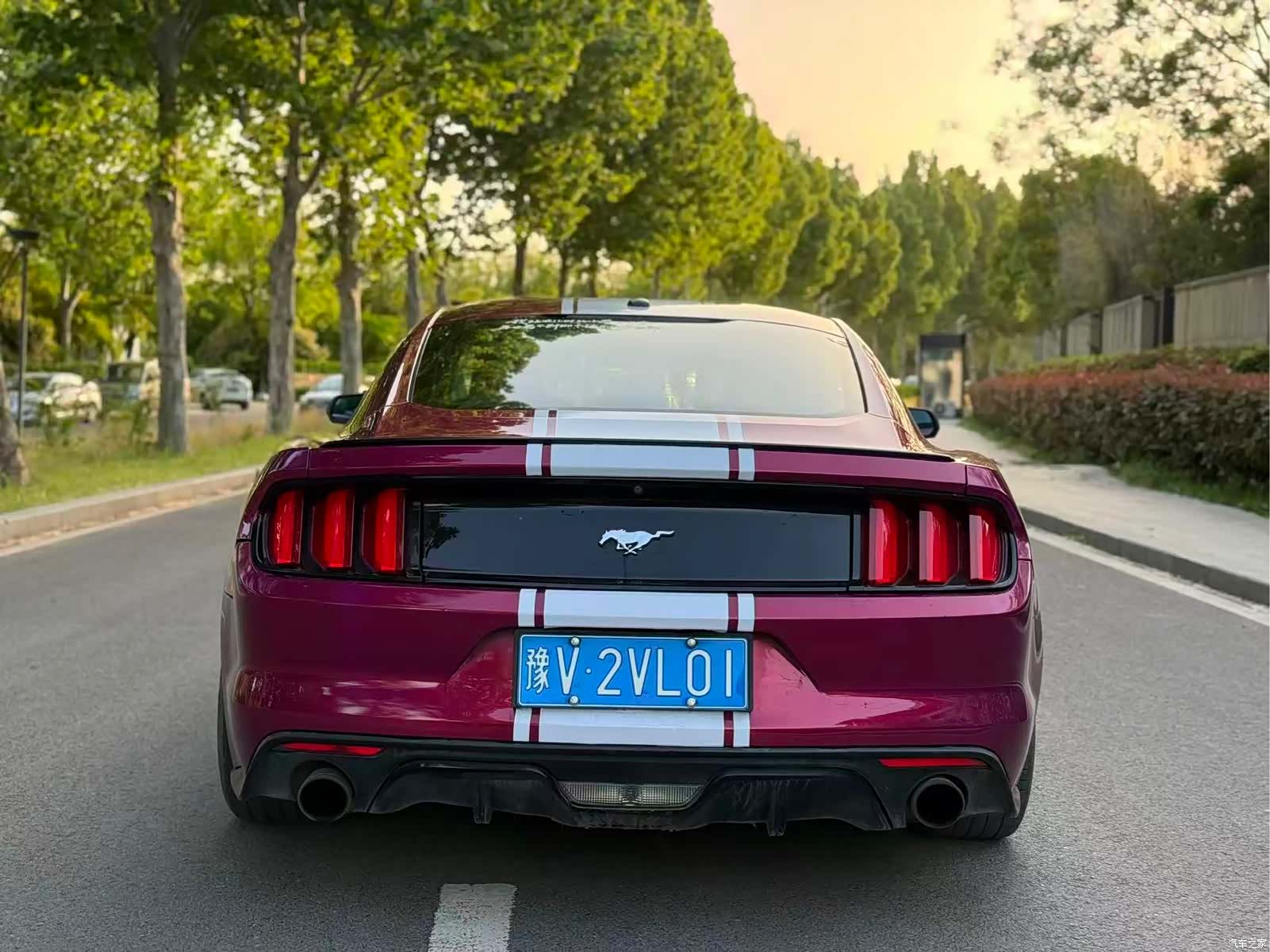 Ford Mustang, 2016 8