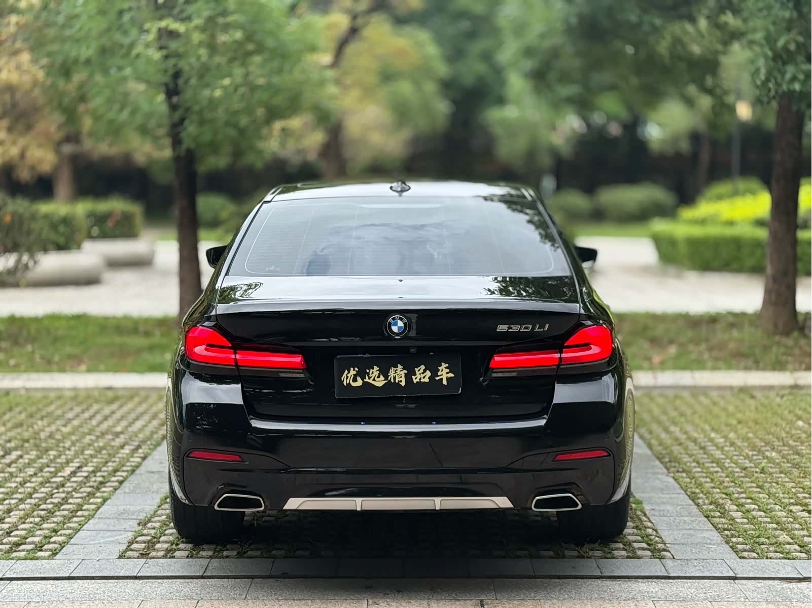 BMW 5 Series, 2021 8