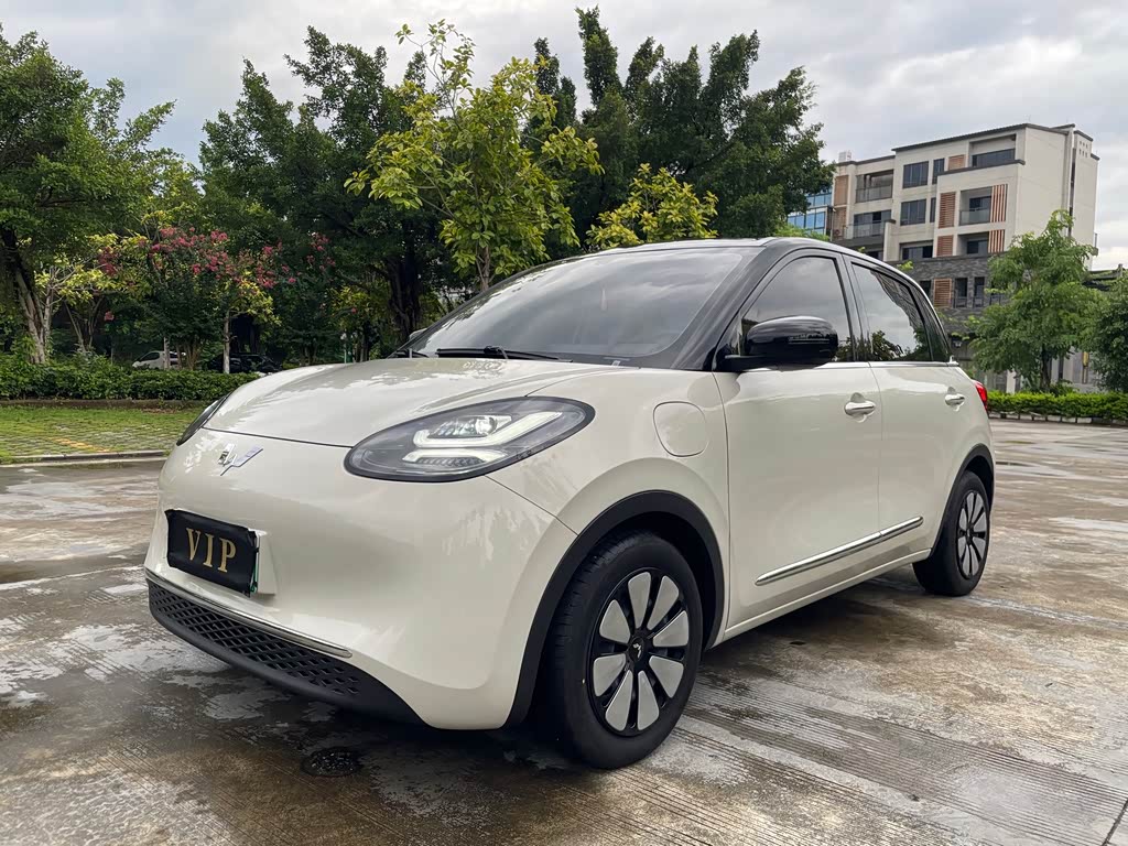 Wuling Binguo