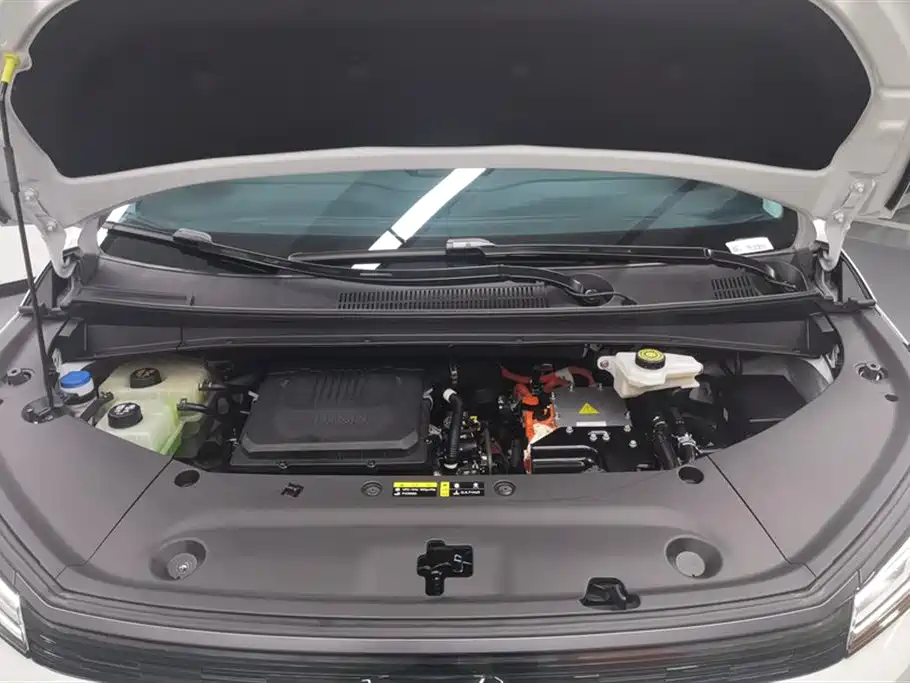 Trumpchi Trumpchi E9