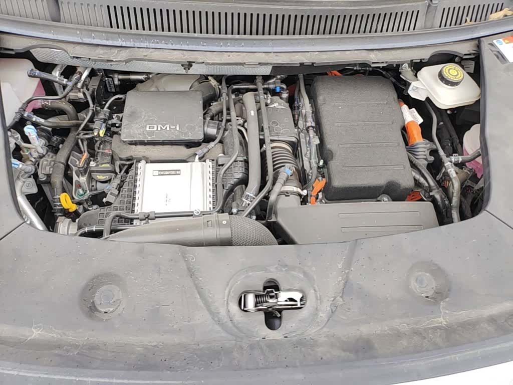 BYD Xia, 2025 20