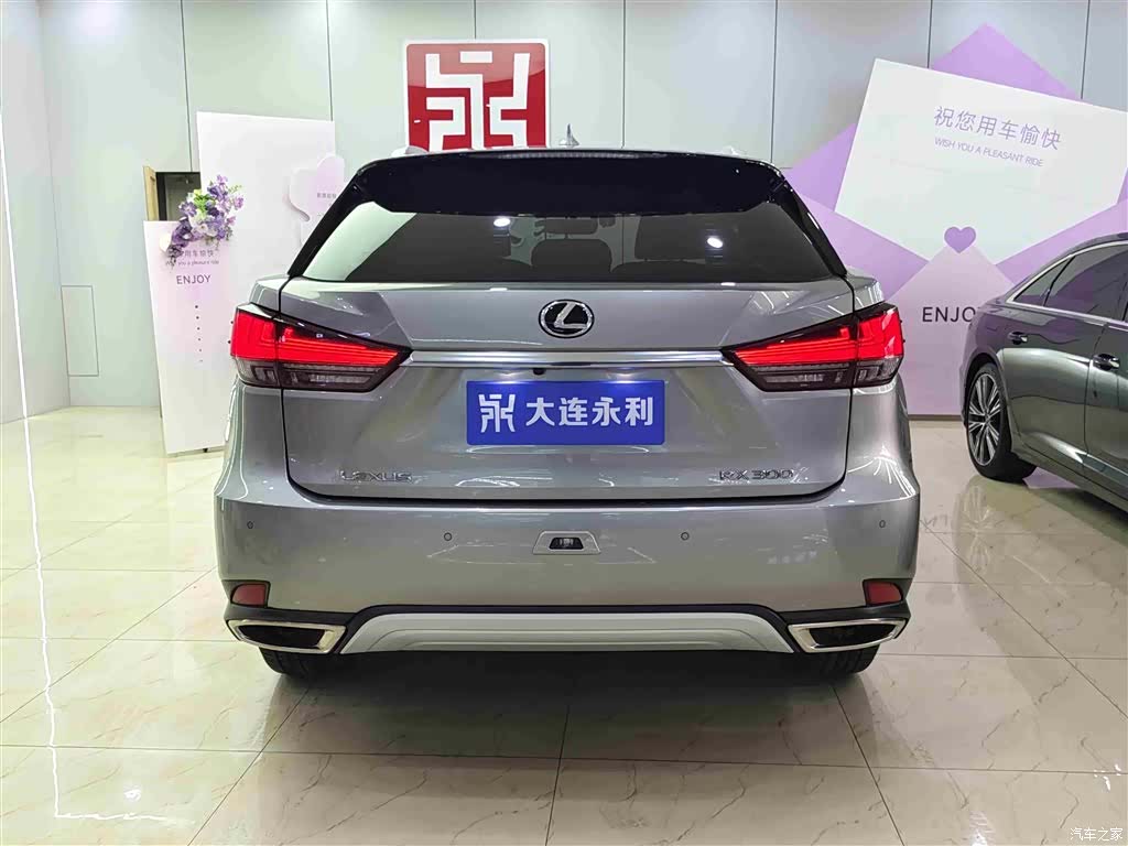 Lexus RX, 2022 все фото