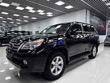 �׿���˹GX 2010�� 460