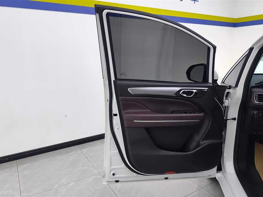 Trumpchi Trumpchi M6 Trumpchi Trumpchi M6