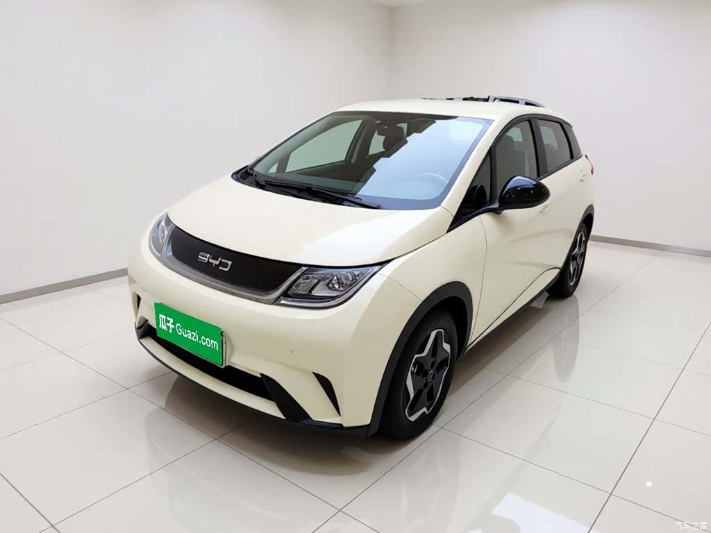 BYD Dolphin, 2025 1