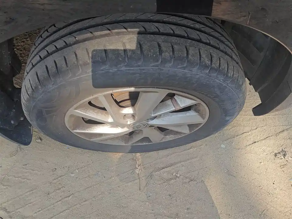 Forthing Lingzhi PLUS