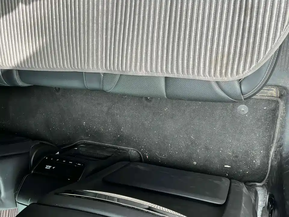 Trumpchi Trumpchi ES9