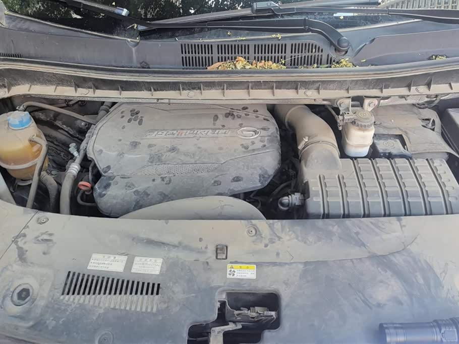 Trumpchi Trumpchi M8 Trumpchi Trumpchi M8