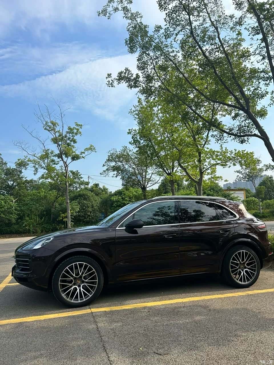 Porsche Cayenne, 2022 все фото