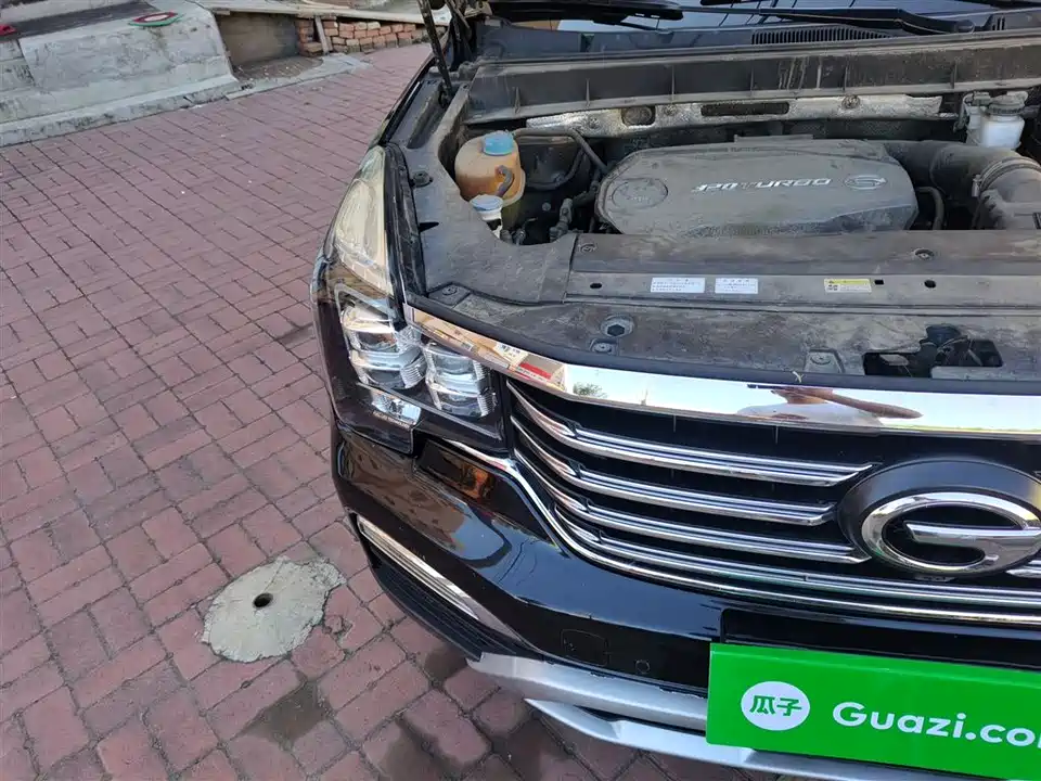 Trumpchi Trumpchi GS8